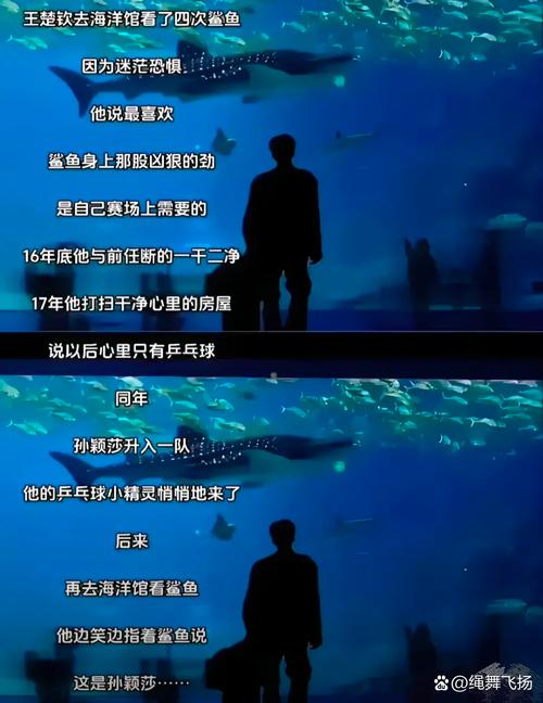 详细阅读:克尼佩尔:过去两场我有点过于执着三分了 想重新找回突破的节奏 克尼佩尔:过去两场我有点过于执着三分了 想重新找回突破的节奏