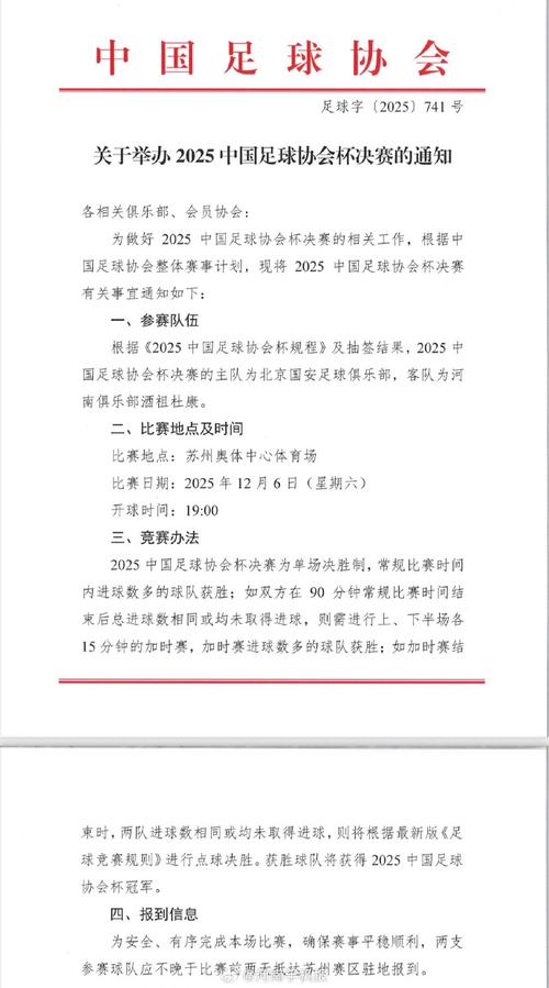 2025中国足协杯决赛票务公告